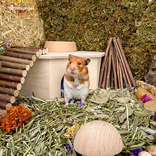 Niteangel hamster shelter cabin displayed in woodland cage setup