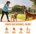 Compact citronella dog spray canister with keychain