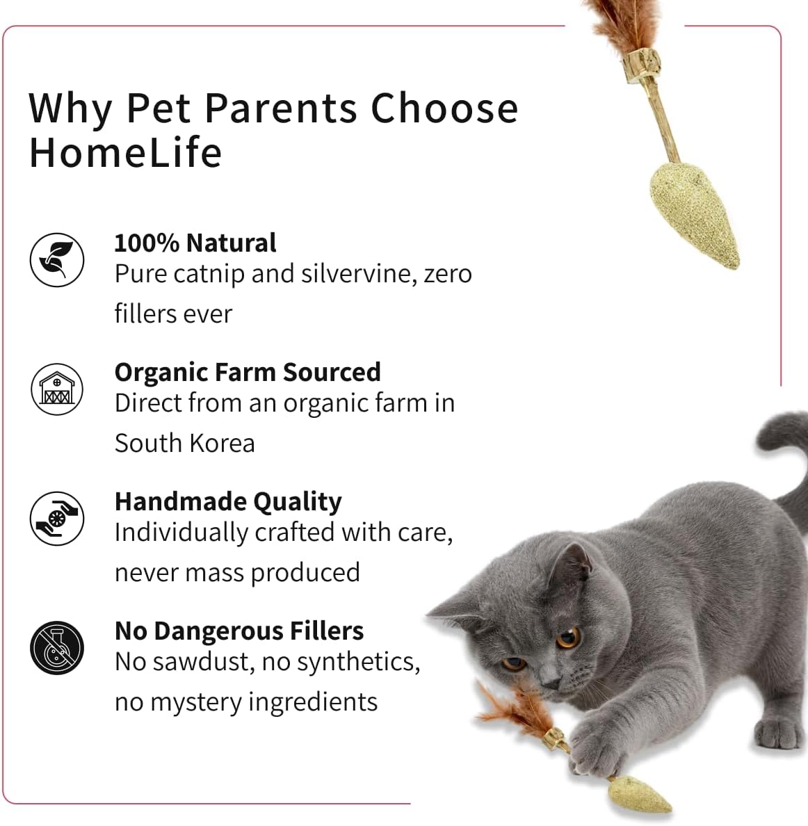 Indoor cat interacting and kicking the Home Life Pet Snuggler toy