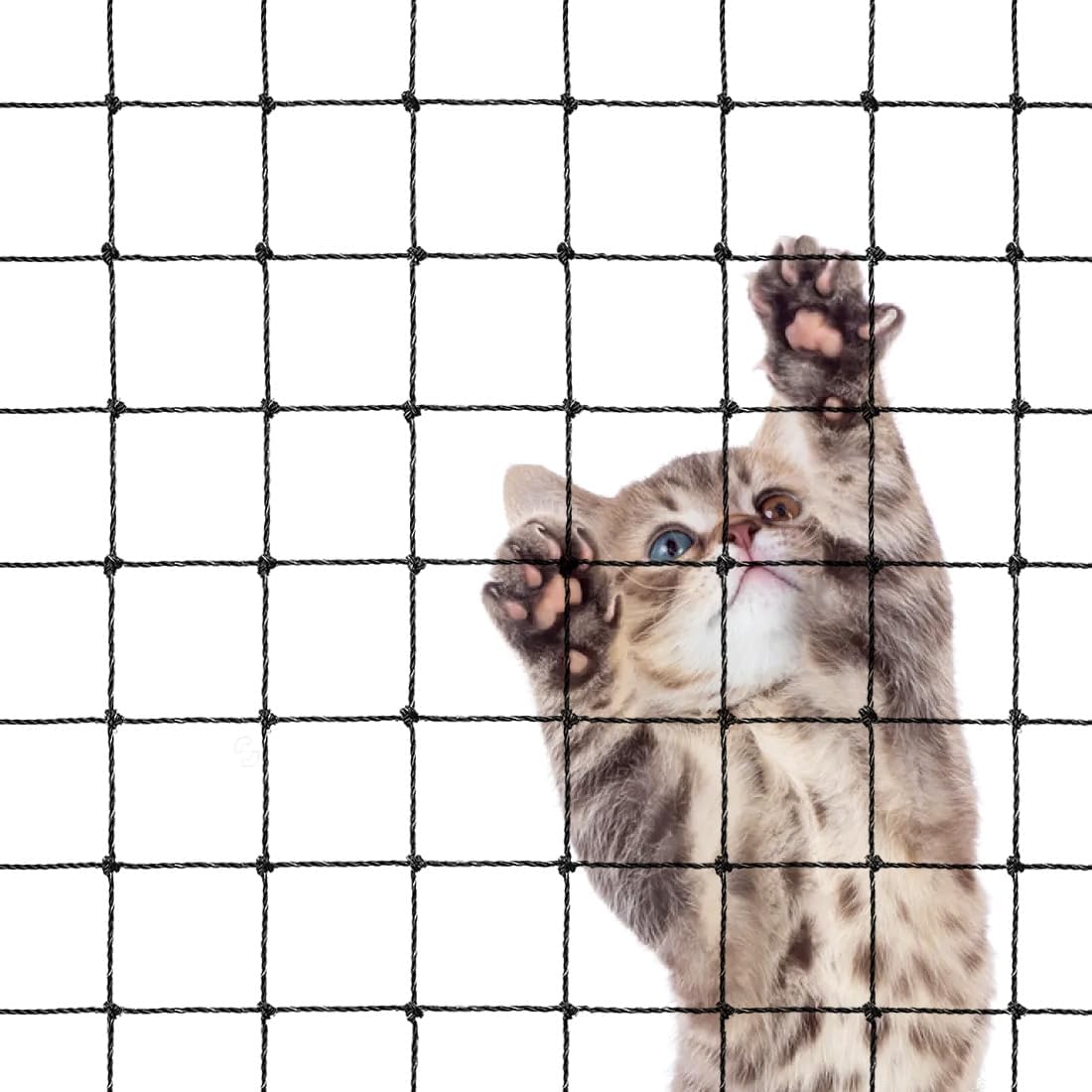 Morimoe steel wire reinforced cat balcony net front view