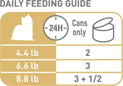 Royal Canin Yorkshire Terrier adult canned food for selective eaters.