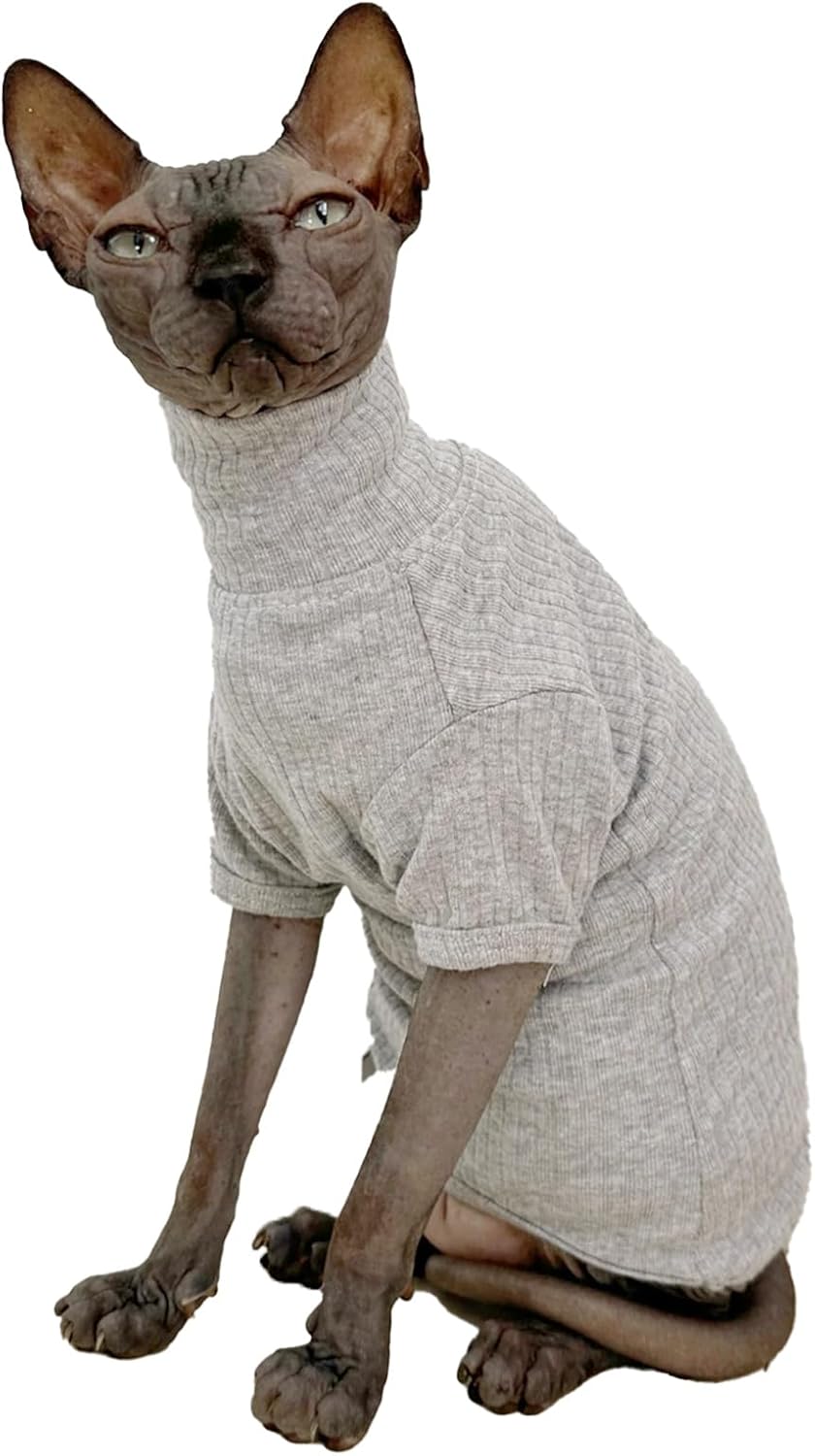 Cat wearing black turtleneck sweater for warmth