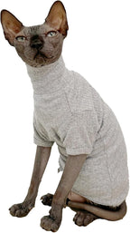 Cat wearing black turtleneck sweater for warmth