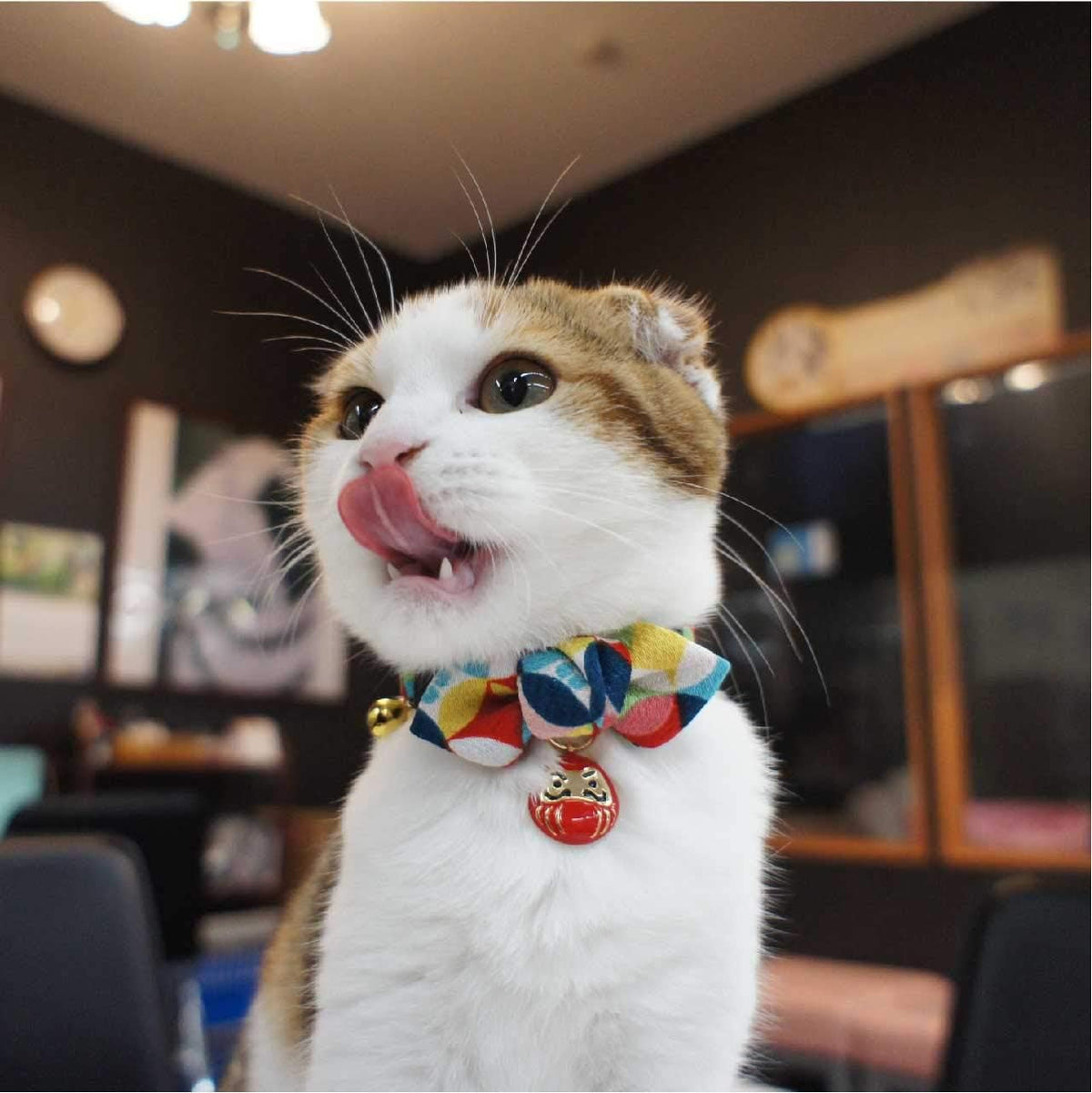 Adjustable slider and strap design of the Necoichi Daruma cat collar for custom sizing.
