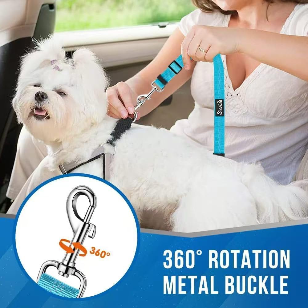 Dual dog restraint attached to car seat belt buckle