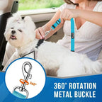 Dual dog restraint attached to car seat belt buckle