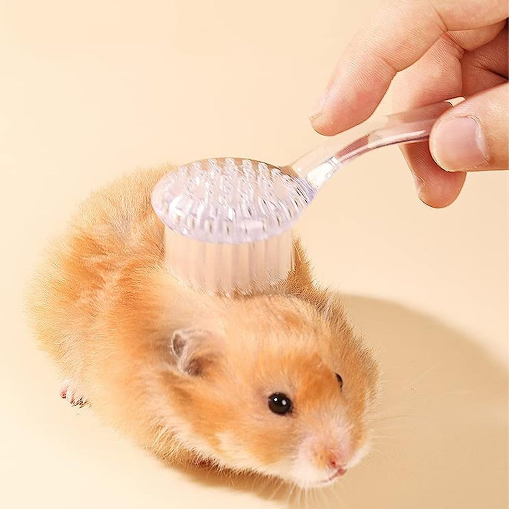 Livaprul 6 pack pet hair combing set with lids snapped securely on for hygienic storage.