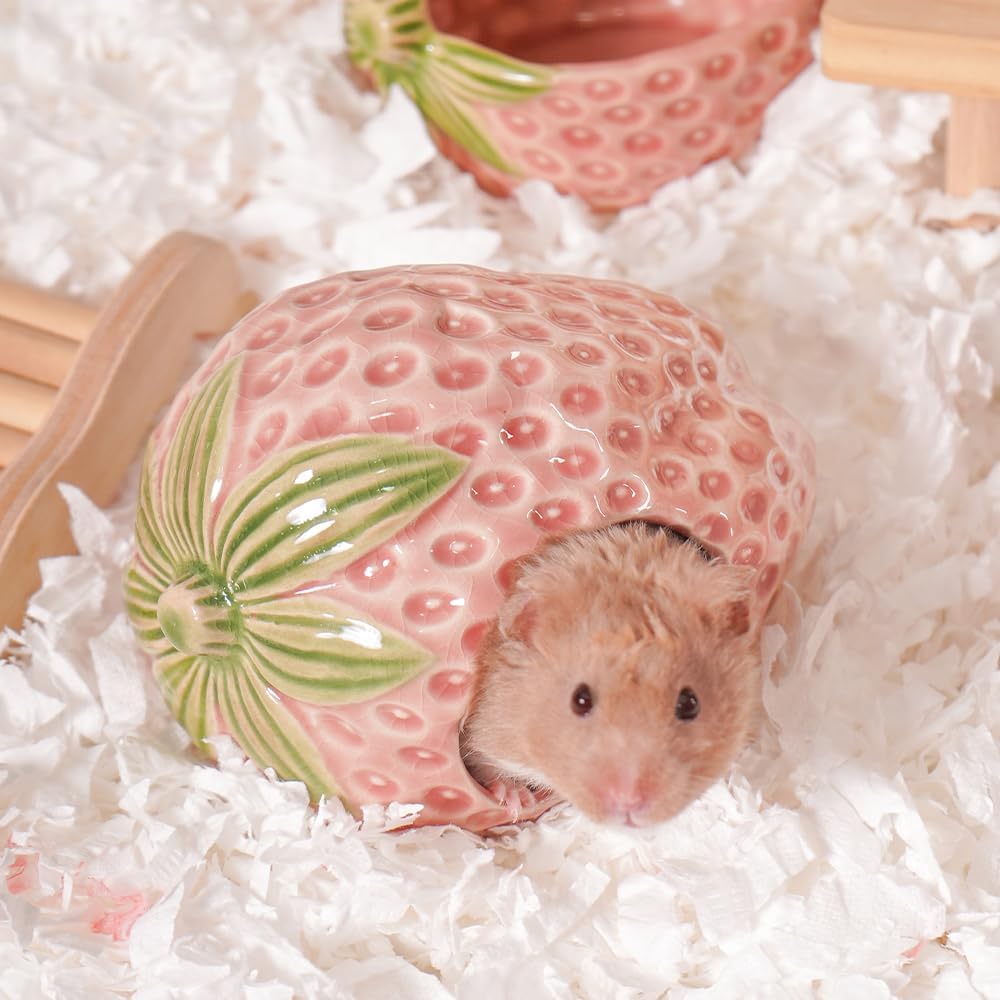 Ceramic Hamster Hideout, Strawberry Hamster House and Habitat, Syrian Hamster Hideout Decor Cool Bed for All Season Gerbil, Mice Guinea Pig - Image 1