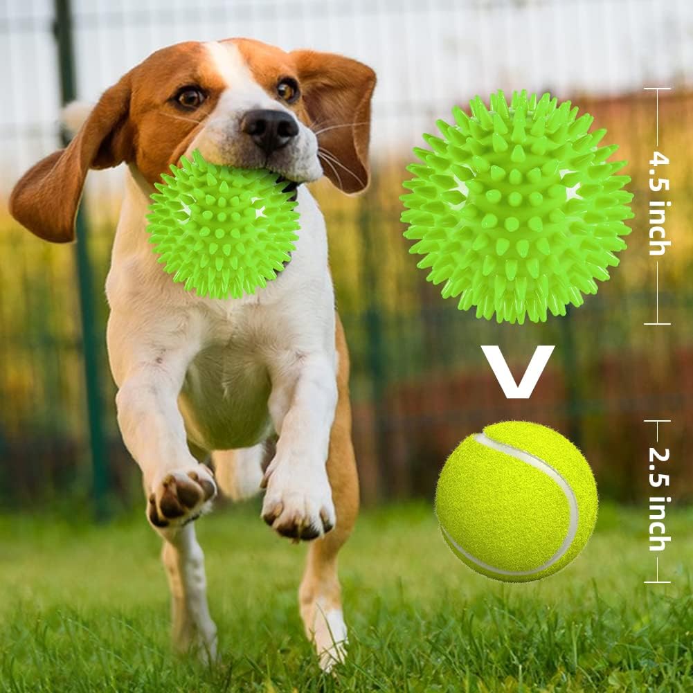 Labeol spiked rubber dog ball for dental health