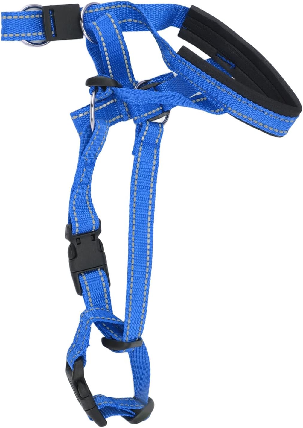 Asixxsix dog muzzle close up of metal leash attachment ring