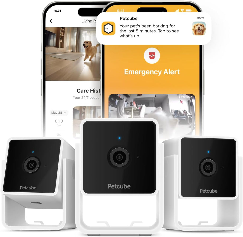 Petcube Cam night vision view demonstrating clear 1080p recording in low light conditions