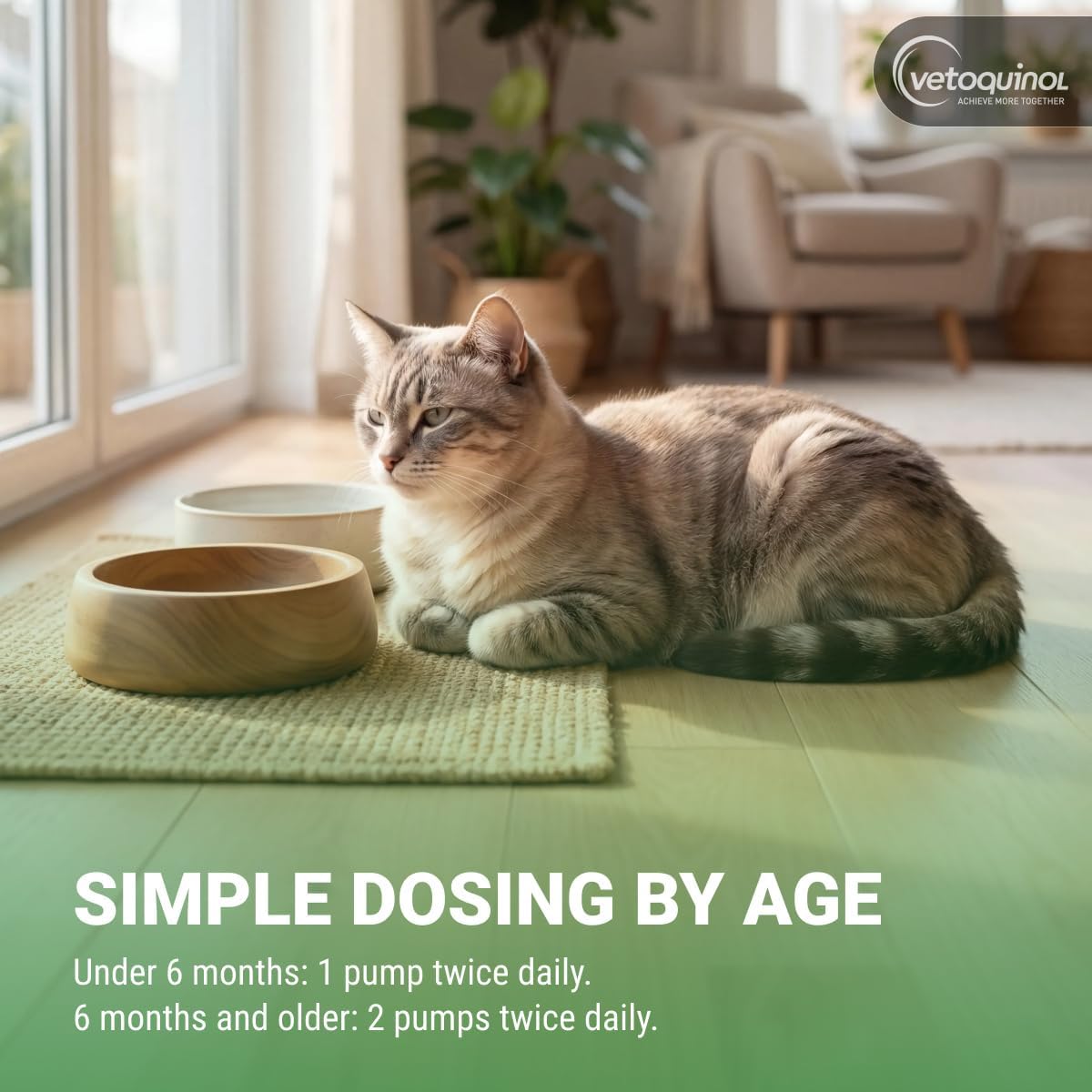 Vetoquinol Enisyl-F daily immune support supplement for cats container