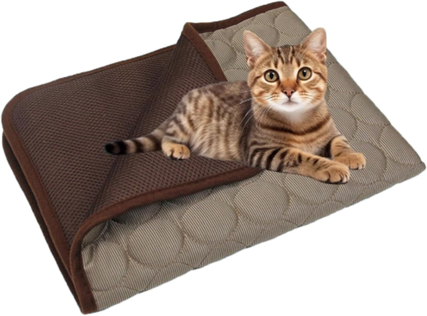 Kittra Cooling Mat for Cats, Kittra Cooling Mat for Cats Dogs, Cool and Bed for Cats, Easy Clean Summer (Blue, XS: 15.7 * 11.8in) - Image 9