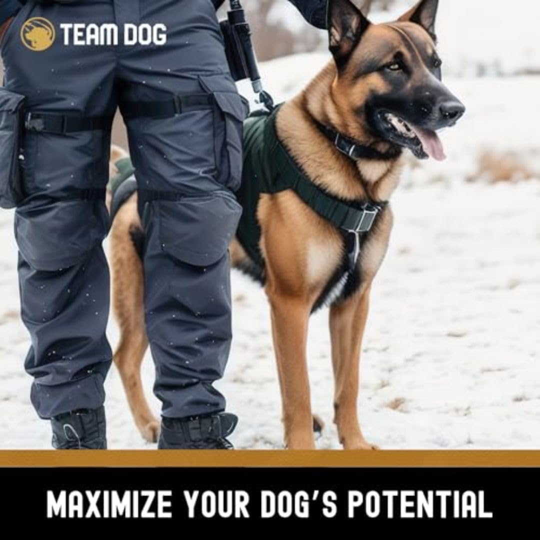 Team Dog raw beef muscle and green tripe dog food ingredients