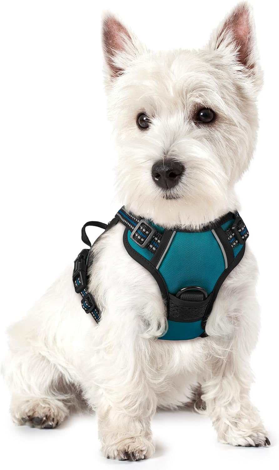rabbitgoo Dog Harness No Pull with 2 Leash Clips, Adjustable Soft Padded, Reflective Oxford No Choke Pet Vest with Easy Control Handle for Large Dogs, Black, L - Image 9