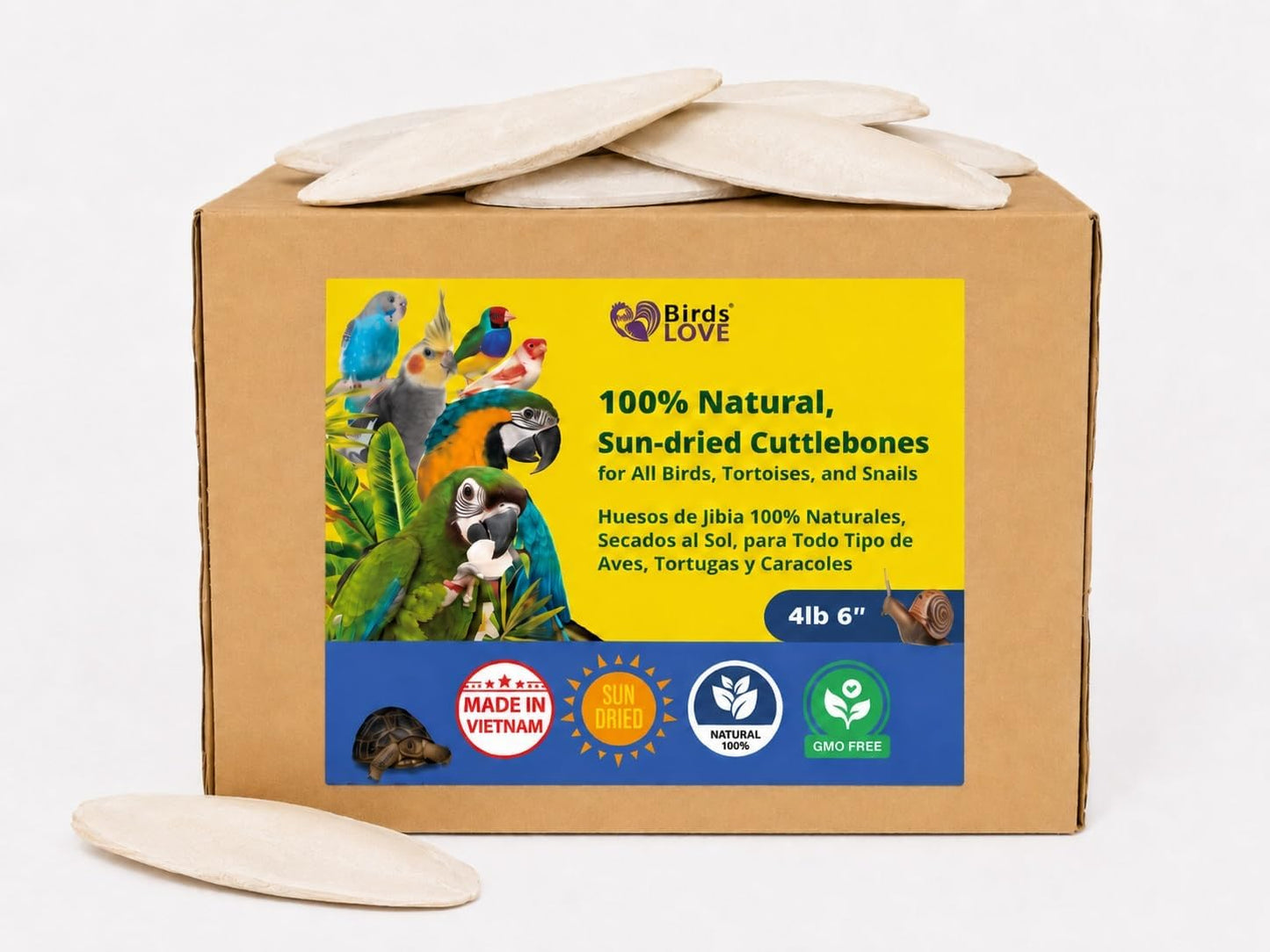 Birds LOVE 3.5-4" Cuttlebone for Birds - 100% Natural Sun-Dried Calcium & Beak Conditioning Supplement for Parakeets, Budgies, Cockatiels, Finches & Canaries - 2 Pack with Holder - Made in Vietnam - Image 13