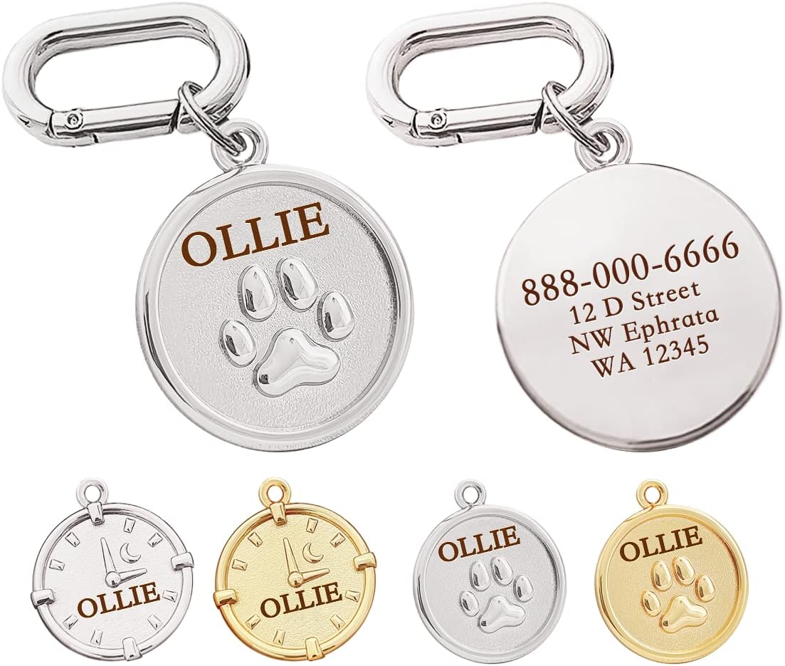 Durable metal puppy collar accessory displaying personalized engraving work.