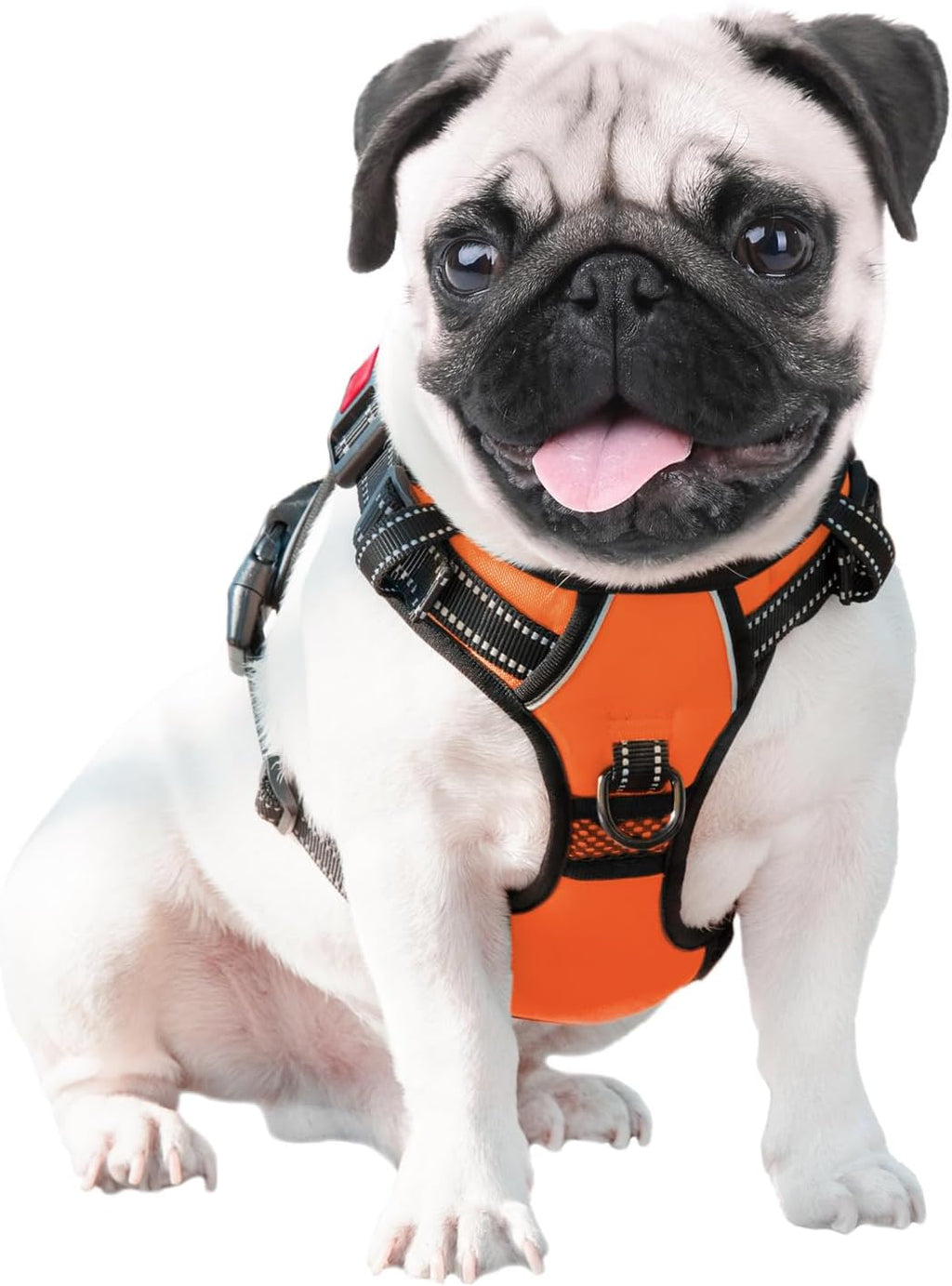 Close up of breathable mesh padding on Phoepet harness