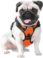 Close up of breathable mesh padding on Phoepet harness