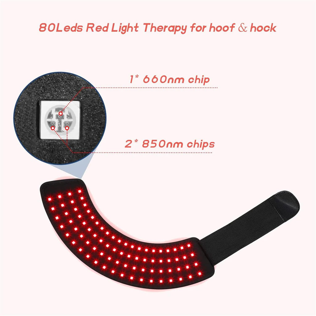 Packaging box of the FSDLJSP authentic USA imported equine red light therapy kit.