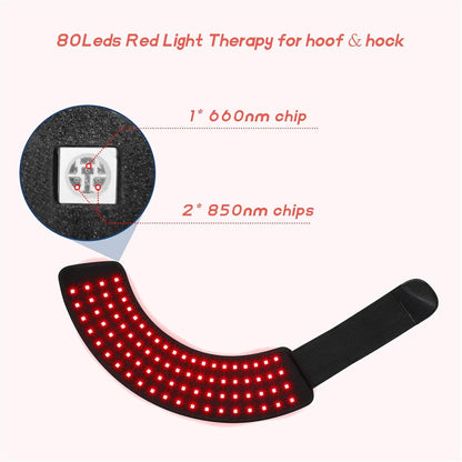 Packaging box of the FSDLJSP authentic USA imported equine red light therapy kit.
