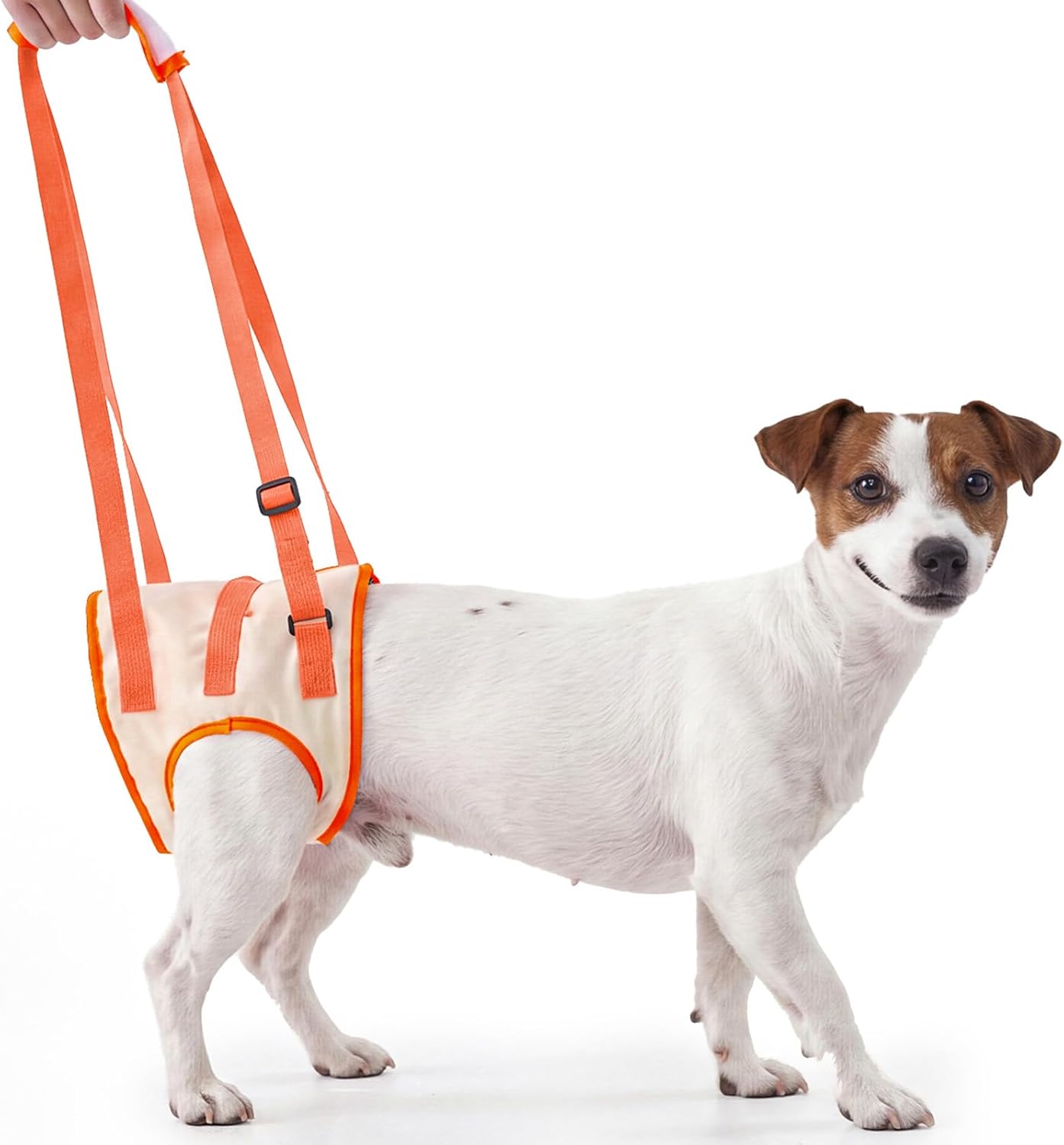 Allroaring dog lift harness front view orange