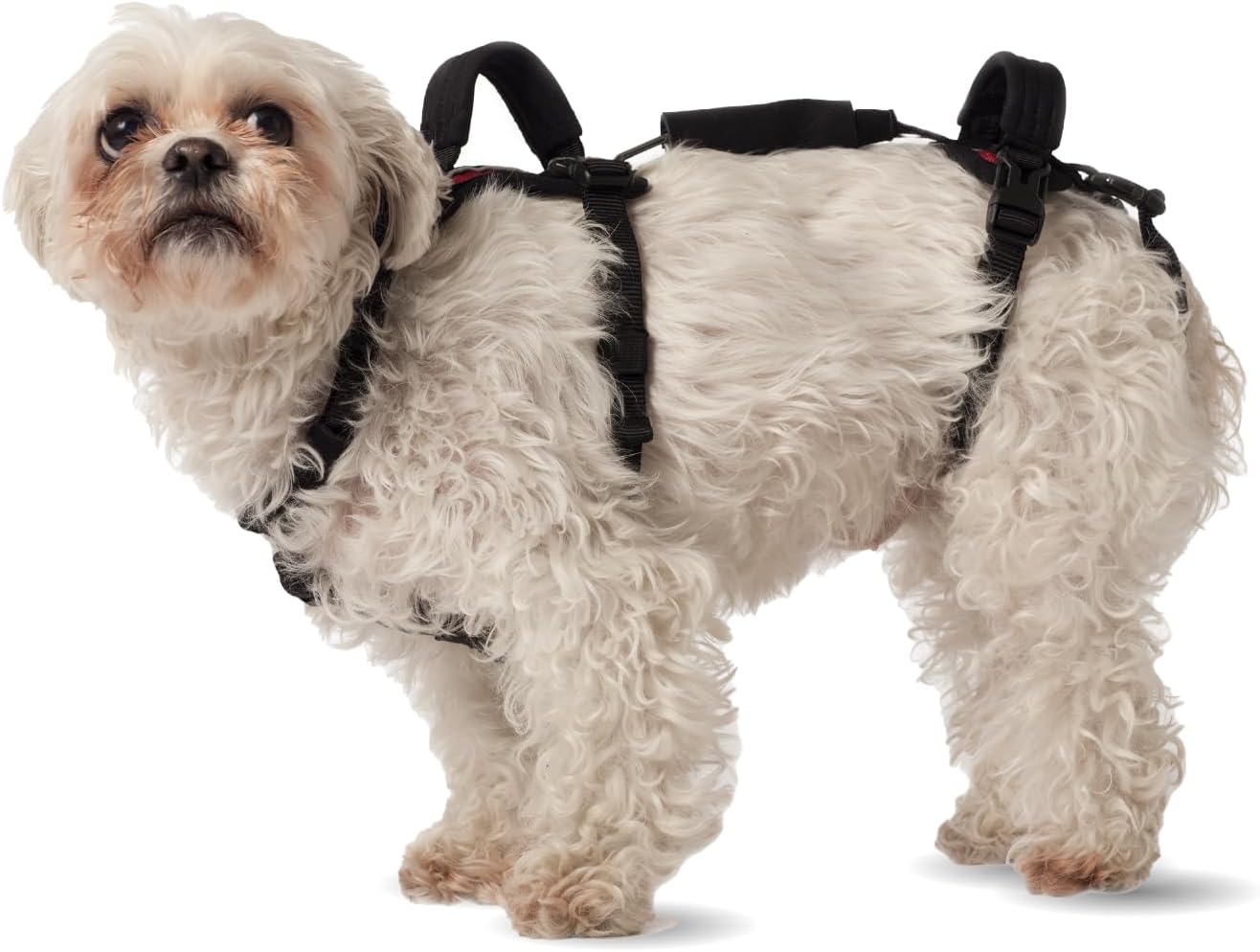Help 'Em Up(R) - Dog Lift Harness Adjustable Lifting Harness for Dogs Full Body Support, Rear Leg Support (Conventional, Medium, 45-80 lbs) - Image 7