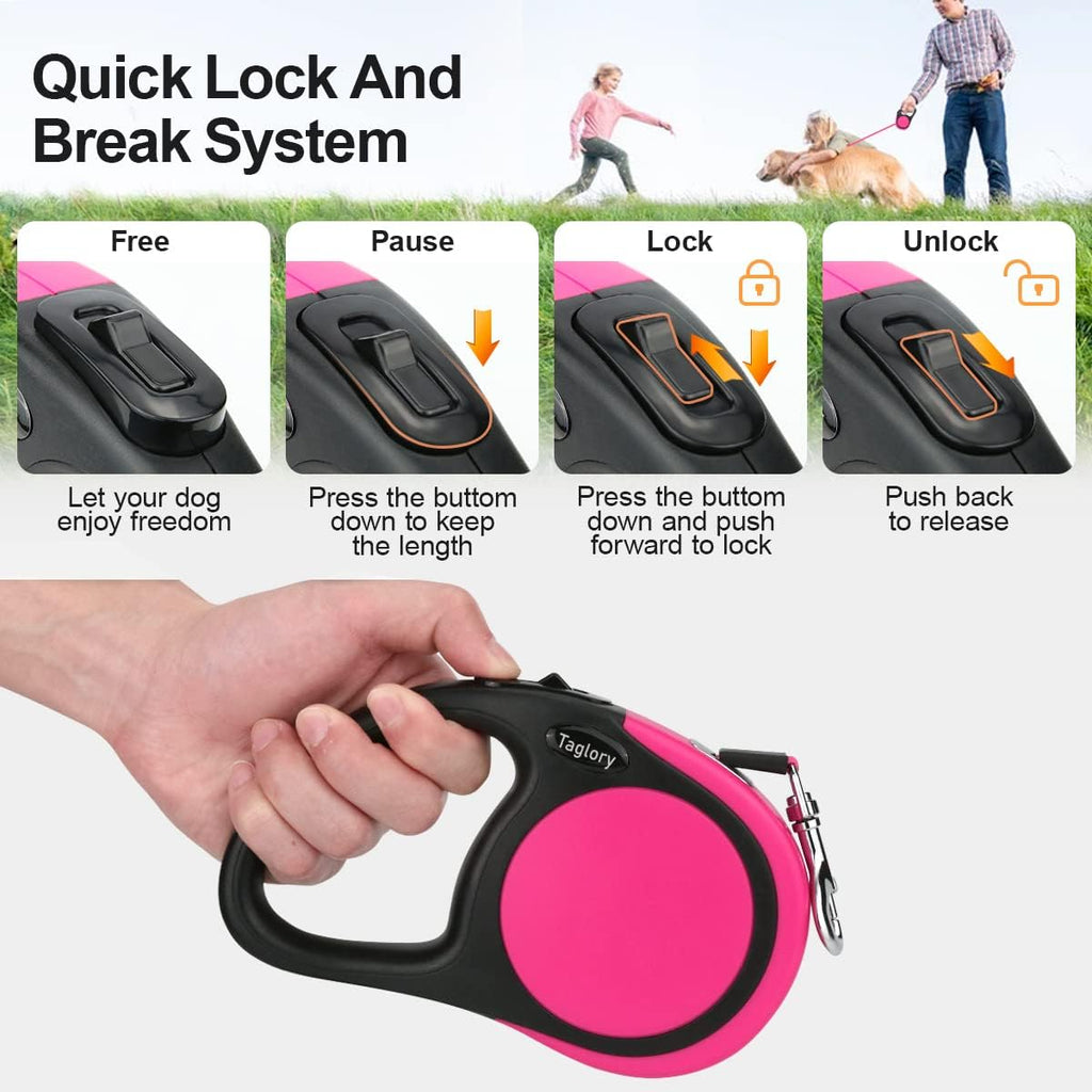 Close up of ergonomic handle on Taglory dog leash