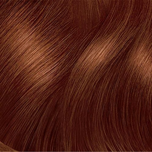 Clairol Nice 'N Easy permanent hair color kit contents