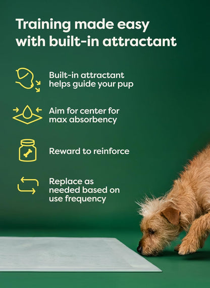 Large size Earth Rated maximum absorbency dog pee pads for indoor training
