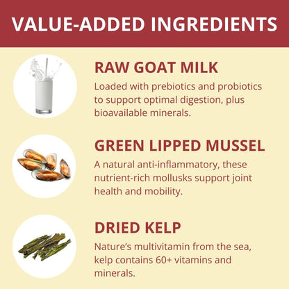 Close up view of authentic raw freeze-dried beef nuggets for dogs and cats
