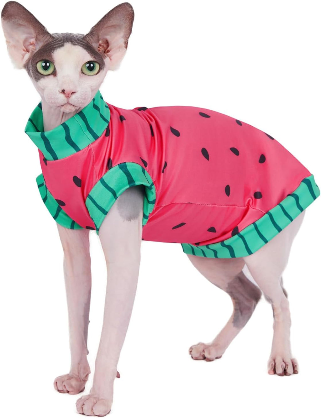 Small dog and cat wearing watermelon summer outfit set