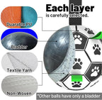Amasiver interactive dog toy ball for tug of war