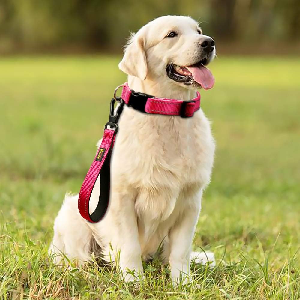 Plutus Pet 10 inch short dog leash laid flat showcasing the compact length.