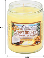 Pack of two Specialty Pet Products deodorizing candles