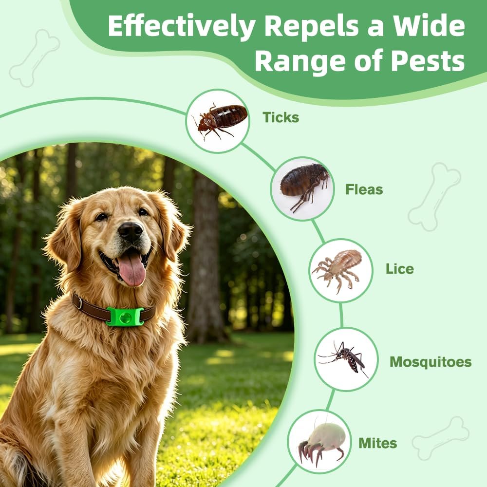 Close up of Hoelesky pest repellent pendant with silicone buckle