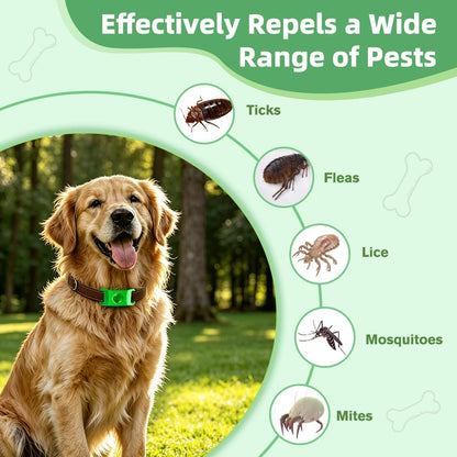 Close up of Hoelesky pest repellent pendant with silicone buckle