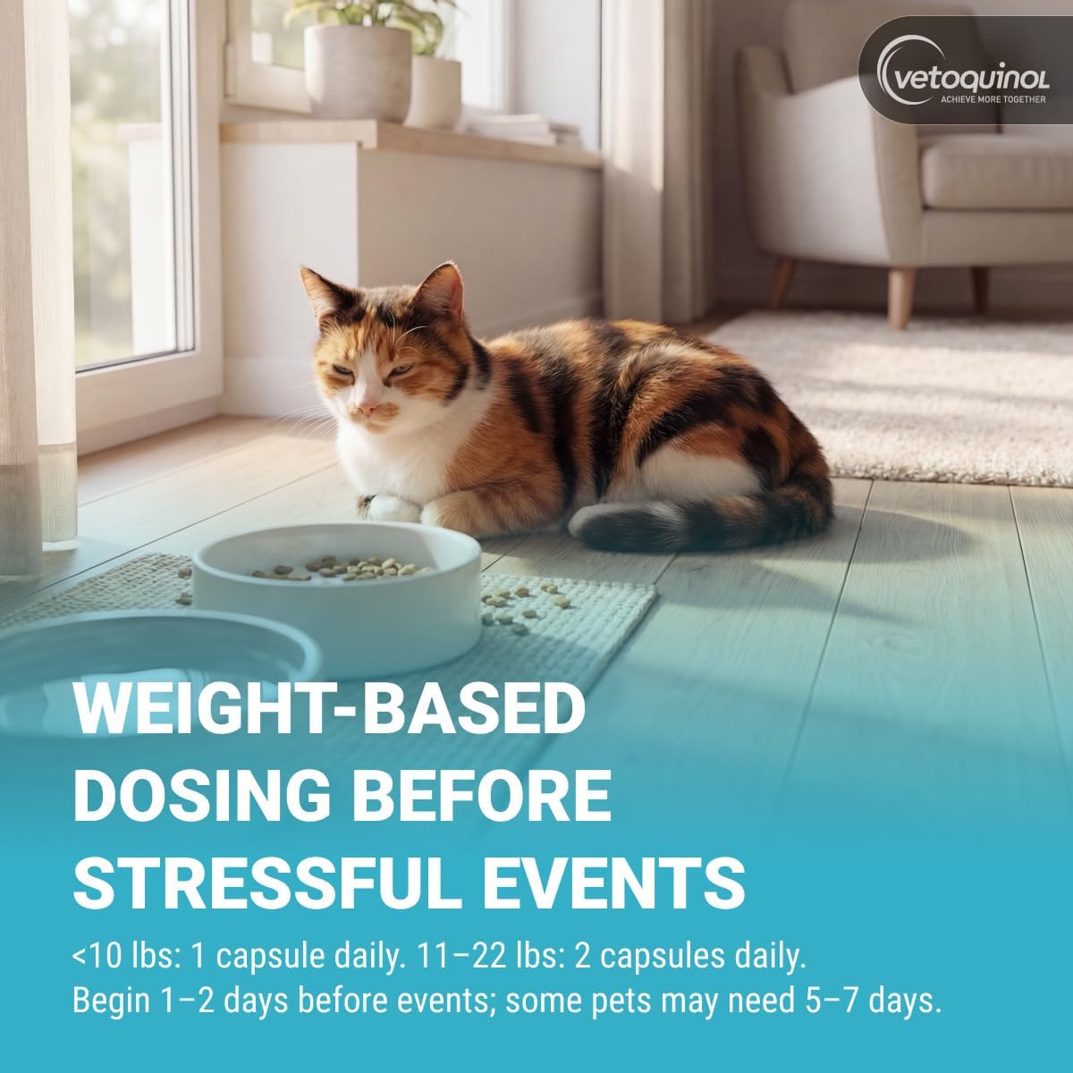Vetoquinol Zylkene veterinary recommended anxiety relief capsule pack for cats and small dogs