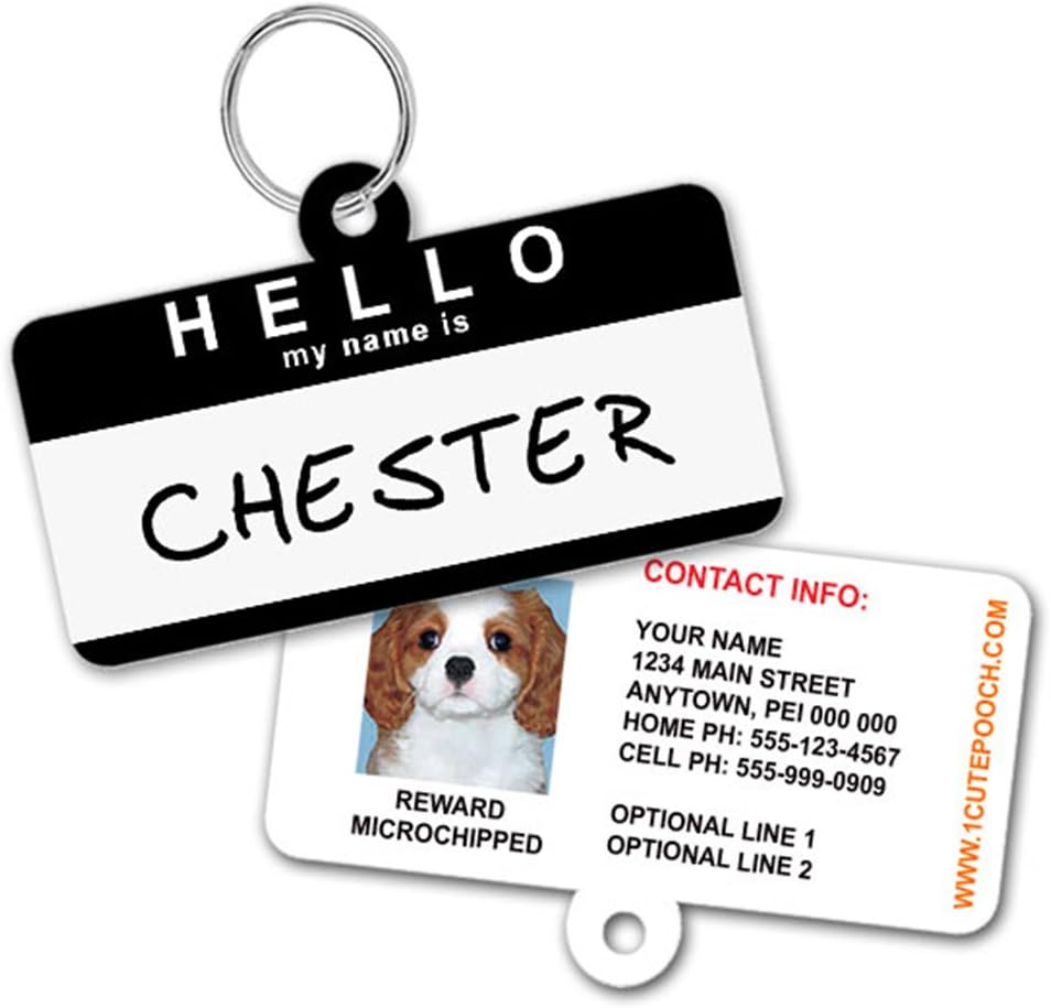 1 Cute Pooch personalized pet tag showing reverse side with photo and info