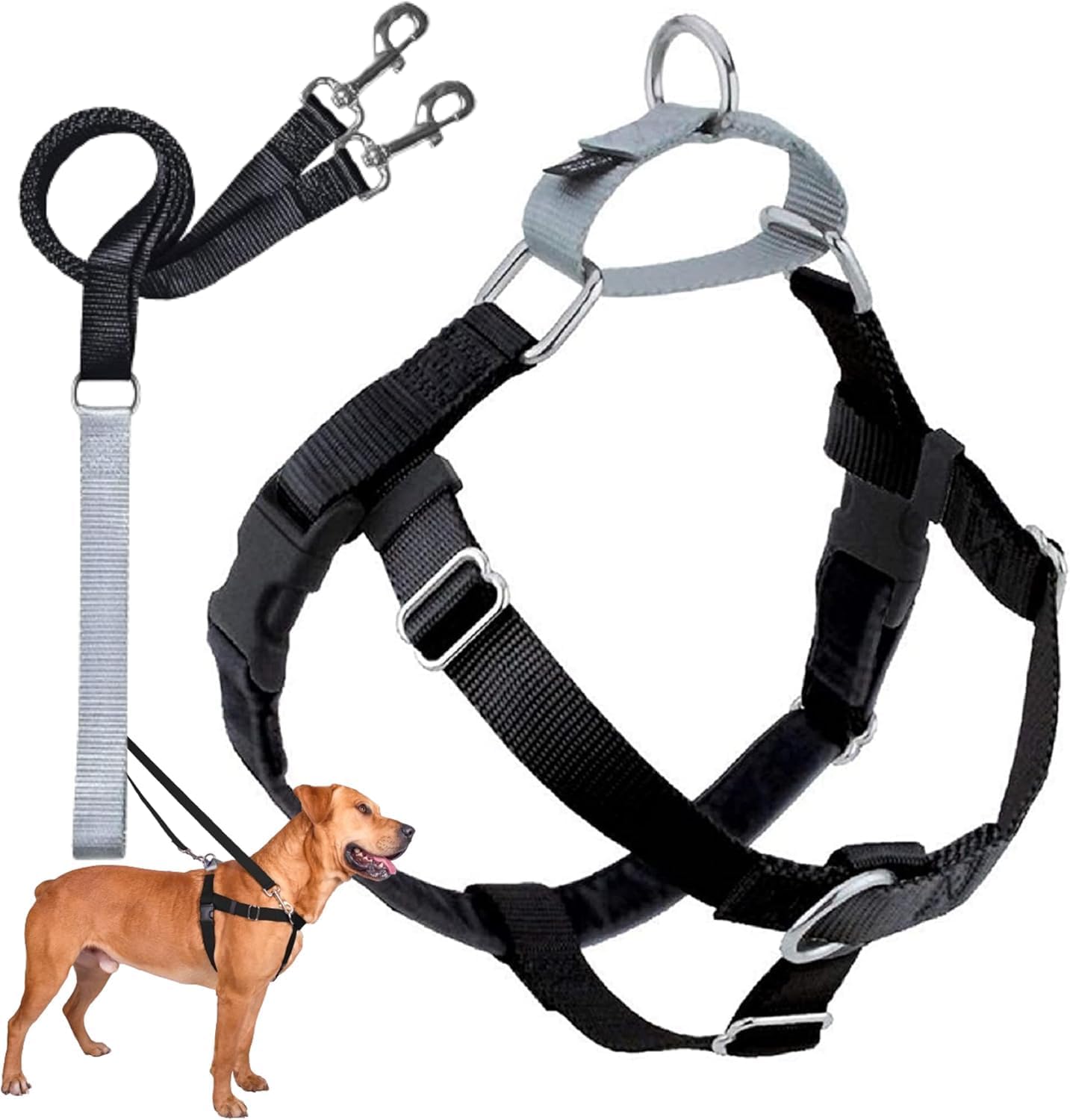2 Hounds Design Freedom No Pull Dog Harness front view