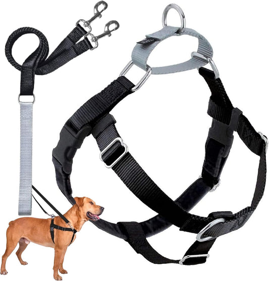 2 Hounds Design Freedom No Pull Dog Harness front view