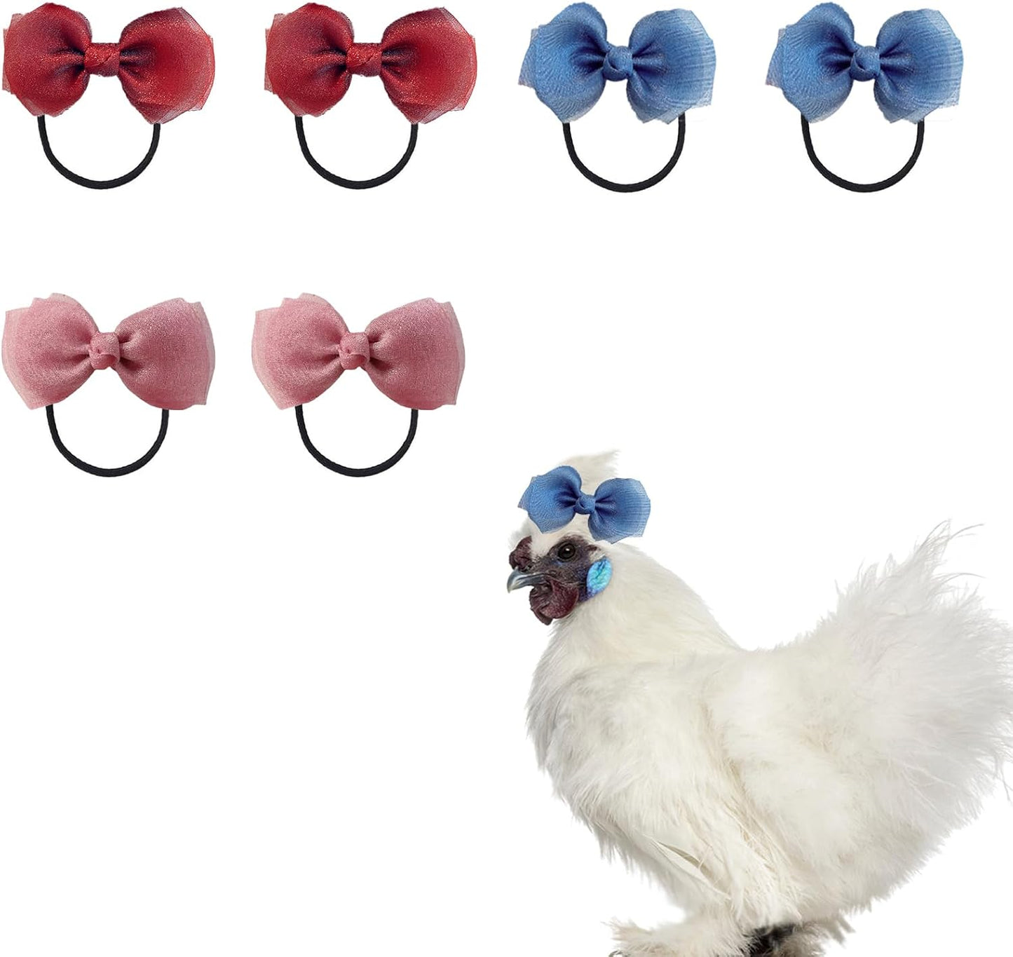 SXYYDSG 6 Pieces Hair Bows and Headbands for Chicken front view of fluffy white Silkie hen wearing blue tulle bow