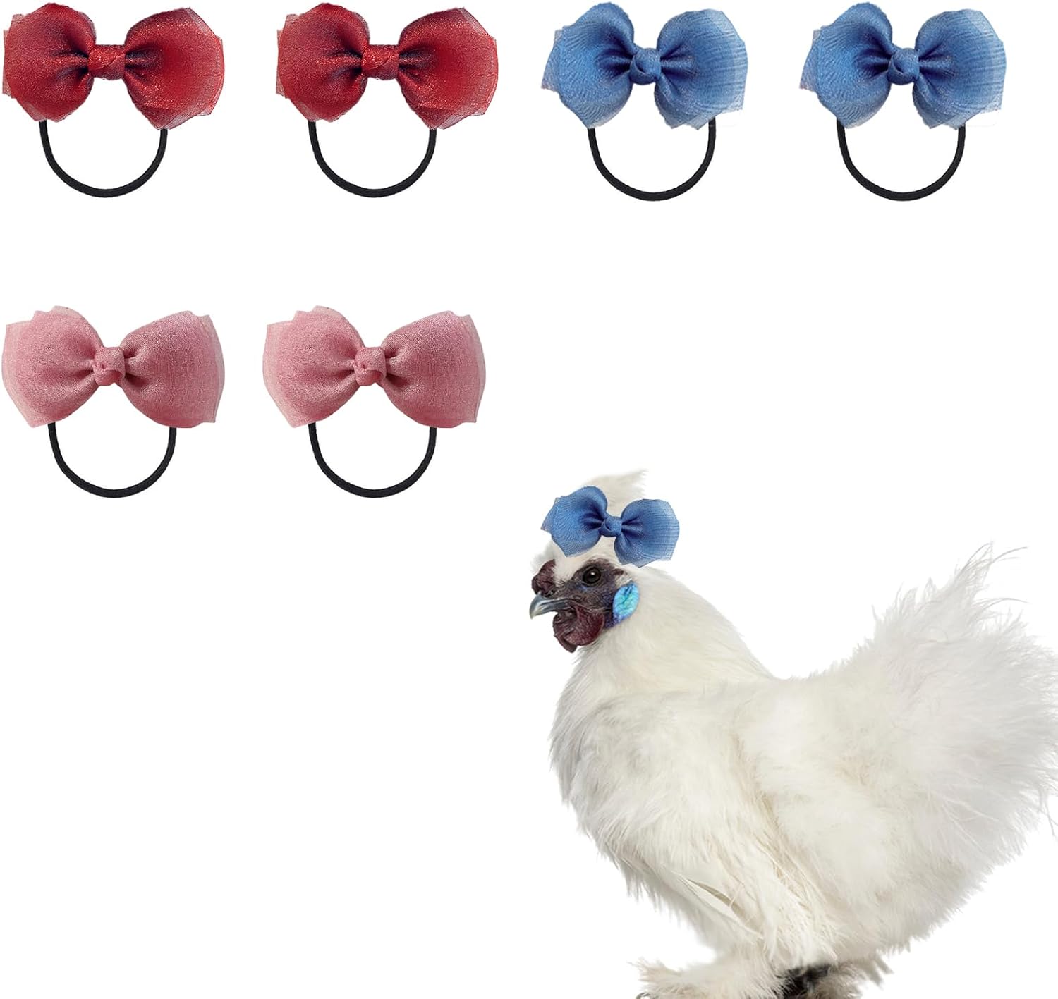 SXYYDSG 6 Pieces Hair Bows and Headbands for Chicken front view of fluffy white Silkie hen wearing blue tulle bow