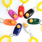 Person holding a blue universal animal clicker for positive reinforcement training.