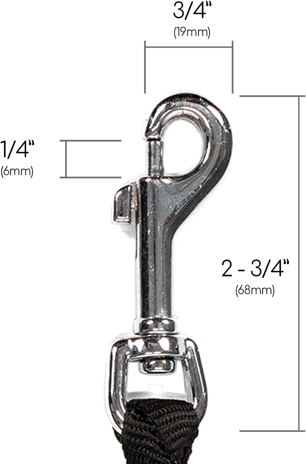 Caldwell's pet supply anti tangle double dog walker leash layout view.