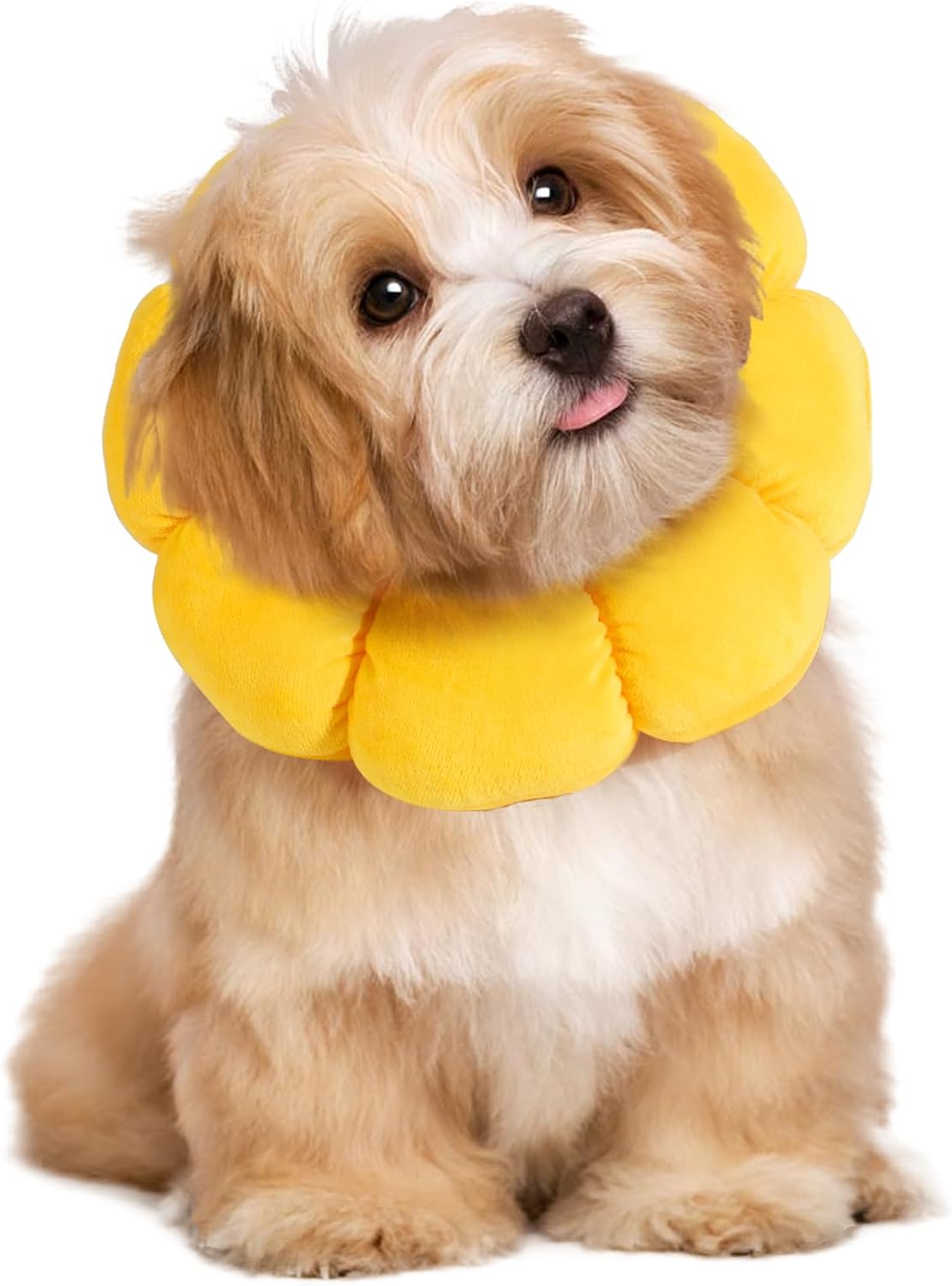 HOMBYS Soft Dog Cone for Dogs and Cats, Cute & Fluffy Flower Shape for Calming, Adjustable Dog Collar Alternative After Surgery, Protective Elizabethan Collar for Dogs Recovery & Stop Licking, S - Image 9