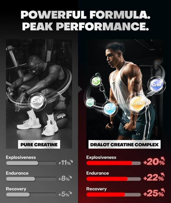 Dralot vegan muscle support supplement ingredient highlights