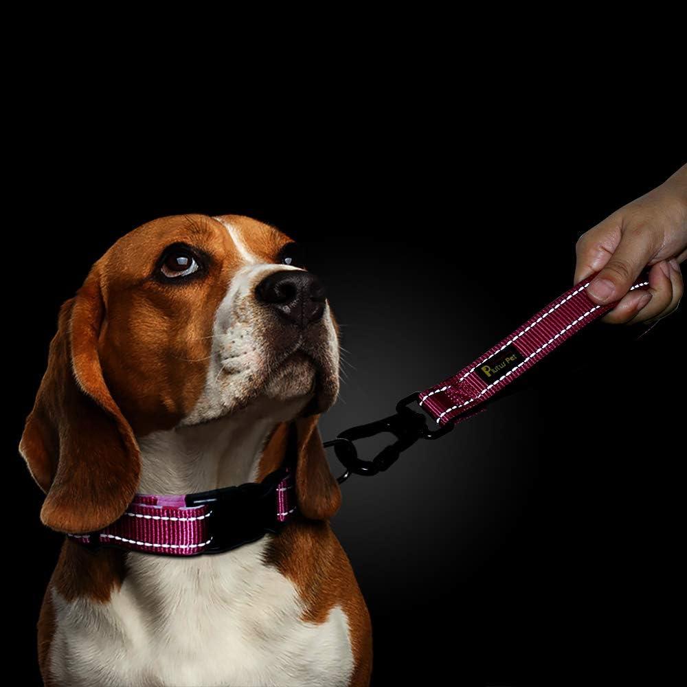 Plutus Pet short training leash attached to a large dog harness side view.