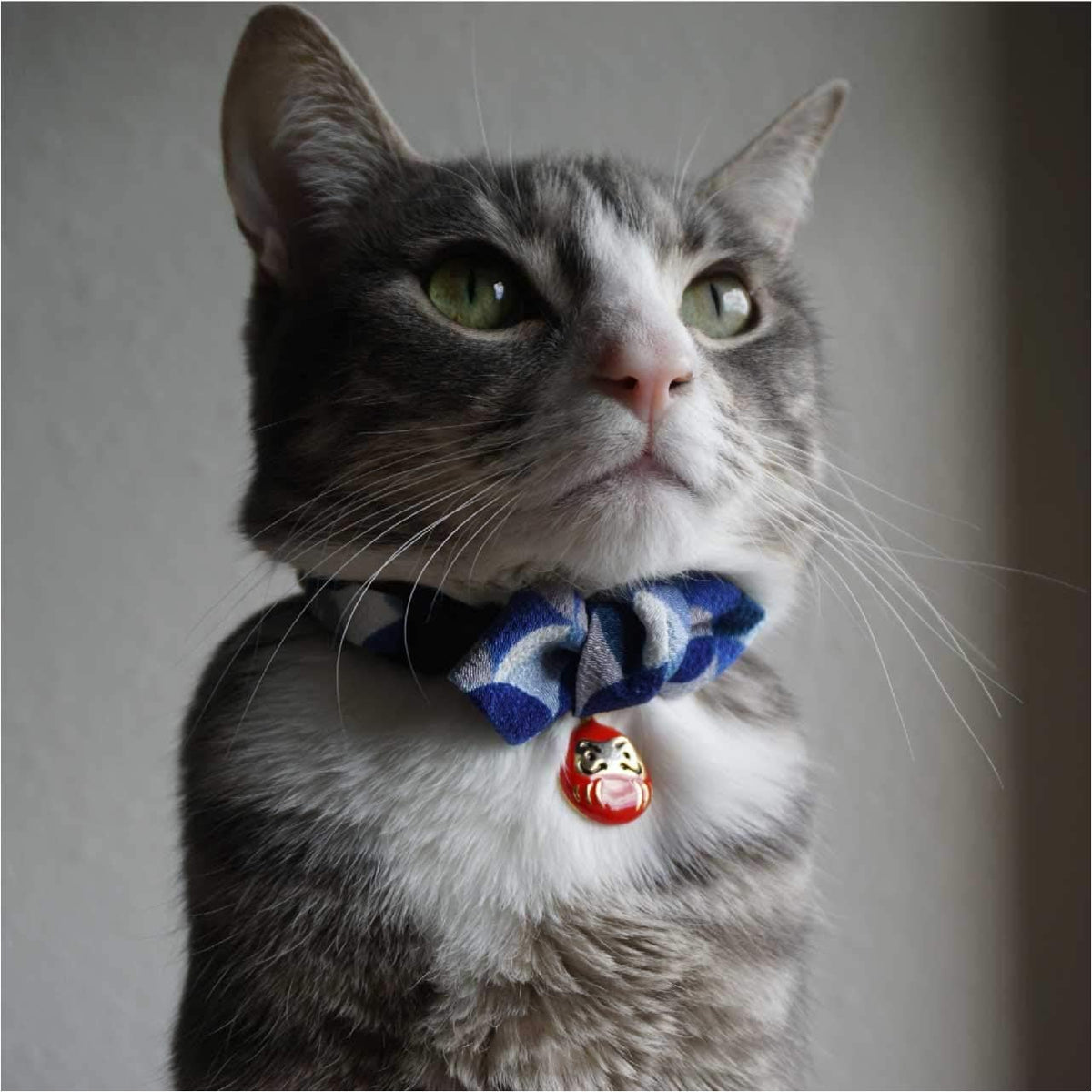 Necoichi Daruma Charm Bow Tie Cat Collar (Red) - Image 14