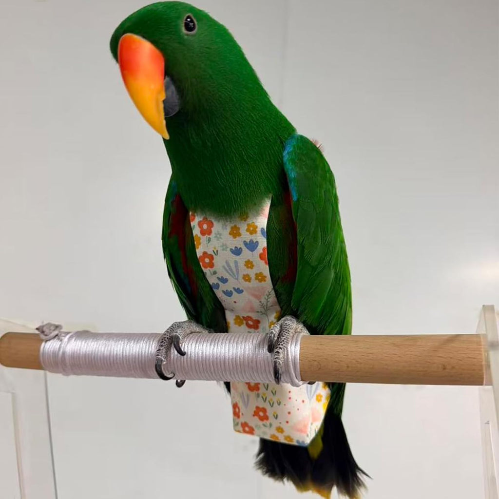 ZANTIE Pigeon Diaper Harness and Leash-Pigeon Pants - Image 3